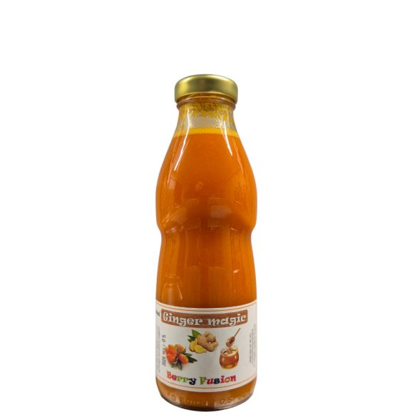 Ginger Magic – Homoktövis Ital gyömbérrel és mézzel – 500 ml